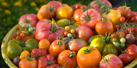 Heirloom Tomatoes